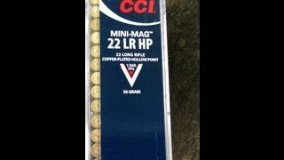 22LR CCI MiniMag0031 36gr HP Velocity Test 5quot Barrel [upl. by Ellertnom]