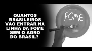 QUANTOS BRASILEIROS VÃO ENTRAR NA LINHA DA FOME SEM O AGRO DO BRASIL [upl. by Sardella289]