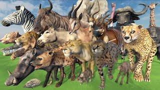 African Animals SPEED Comparison in 3D Animation  Realistic World Data [upl. by Eseryt]