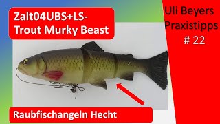 Ganz neue Savage Gear Line Thru Trout und wieder da Zalt UBS [upl. by Anirbys356]