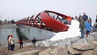 Peace Bridge Opening [upl. by Oniger]