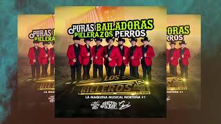 PURAS BAILADORAS quotRielerazosPerrosquot Los Rieleros del Norte MIX •2018• Dj Gera [upl. by Ecnadnac]