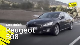 Peugeot 508 Löwensprung [upl. by Hueston671]