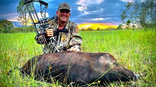 2 EPIC BOW HUNTS for Wild Boar with NO EARS Catch Clean Cook Brand New Bow [upl. by Saunder]