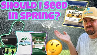 Should I Overseed My Fescue In Spring [upl. by Hershel710]