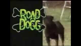 WWE  Road Dogg Jesse James Theme Song Oh You Didnt Know HD [upl. by Kistner105]