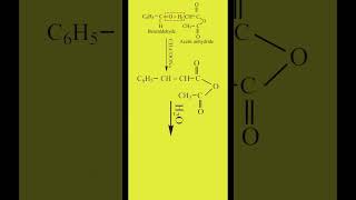 Perkins Reaction  Preparation of Cinnamic Acid  Carbonyl Compounds  Organic Chemistry Class 12 [upl. by Pris]