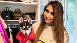 SHOPPING AT GUCCI FOR MY DOG  Nicolette Gray [upl. by Kylila]