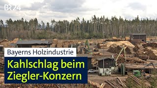 Bayerns Holzindustrie Kahlschlag beim ZieglerKonzern  BR24 [upl. by Hamid]