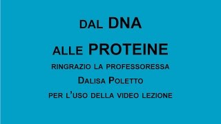 Dal DNA alle Proteine [upl. by Nosaj]