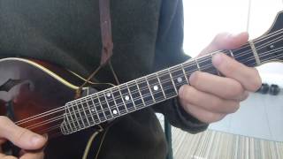 Learn Every Major and Minor Chord  Mandolin Lesson [upl. by Euqina272]