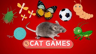 Cat Games  Balls Lizards Flies Mice Run On The Screen For Your Cat To Play  CatTV [upl. by Iderf]