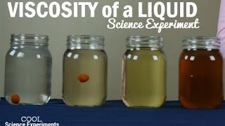 How to test the Viscosity of a Liquid [upl. by Einalem598]