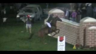 Vicki Wilson jumps 6ft Puissance wall  BAREBACK [upl. by Michel]