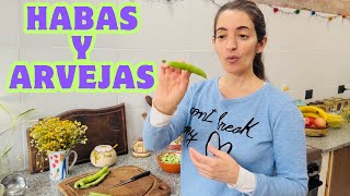 Habas y Arvejas Receta habas arvejas comidasveganas recetasfaciles food recetasveganas veg [upl. by Aniale]