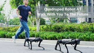 Quadruped robot A1 walk with you to the future [upl. by Nirik990]