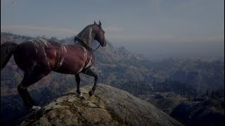 Male Warped Brindled ArabianRed Dead Redemption 2 [upl. by Brause]