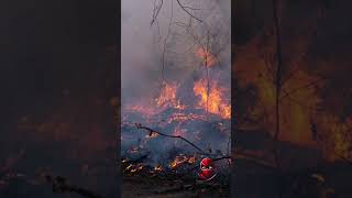 A man has been charged with arson in connection to a New Jersey wildfire sparked by a shotgun round [upl. by Sotos209]