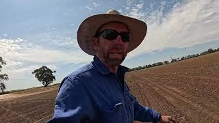 The start of canola windrowing for 2024 [upl. by Oemac674]