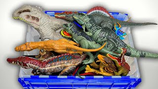 100 Jurrasic World Dino Figures  Indominus Rex T Rex Spinosaurus and More [upl. by Chen]