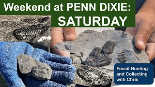 Weekend at Penn Dixie Saturday 100s of Trilobites Everywhere Many great finds Fossil Hunting [upl. by Erinna225]