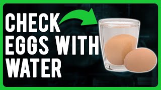 How to Check Eggs With Water Float Test [upl. by Moskow204]