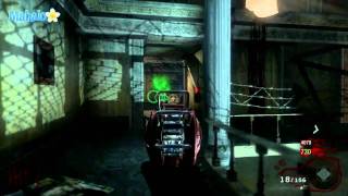 Call of Duty Black Ops 2 Zombies Cheats and Hacks gameplay God mode unlimited ammo [upl. by Arbas734]