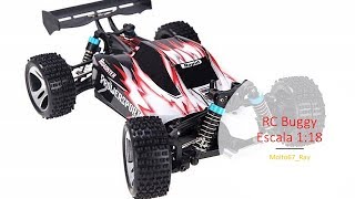 Buggy RC coche escala 118 Goolsky Wltoys A959 [upl. by Ennad]