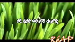 Les cornichons Nino Ferrermp4 [upl. by Netnerb]