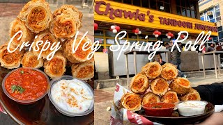 Crispy Kurkure Chowmein Stuffed Vegetarian Spring Roll  285 Rs Chawla Tandoori Junction Shorts [upl. by Atteloiv667]