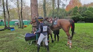 Camille LEJEUNE  DAME DECOEUR TARDONNE Après cross Pau 2024 [upl. by Bergin234]