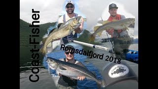 Romsdalfjord 2018  Schleppen auf DorschSpeedpilken auf Seelachs [upl. by Sibilla]