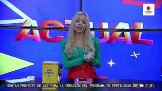 EN VIVO Misiones Cuatro todas las noticias de Misiones Argentina y el Mundo [upl. by Axela]