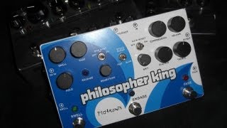 Pigtronix Philosopher King amp Toneczar Echoczar [upl. by Bindman516]