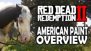 American Paint Overview  Red Dead Redemption 2 Horses [upl. by Kowtko]