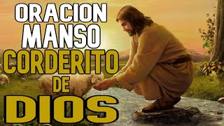 Oracion Manso Corderito de Dios para Problemas Dificiles y Necesidades [upl. by Irehj]