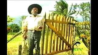 THE ANSWER  Jamaican Movie Staring Charles Hyatt amp Fabian Thomas 1990 [upl. by Adriaens]