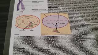 Designer Genes Cheat Sheet  Science Olympiad Division C [upl. by Anika738]