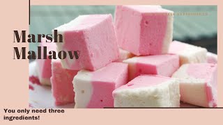 Marshmallow Recipe in Tamil  மாஷ்மெல்லோ  Easy Candy recipe Gelatin recipe in Tamil [upl. by Noeht]