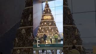 Dior christmas treeyorkdale mallDecember 2023 [upl. by Penhall]