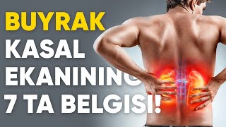 Buyrak kasalligining 7ta belgisi [upl. by Anilrahc436]