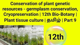 Germplasm conservation Cryopreservation  12th BioBotany  Plant tissue culture  தமிழ்  Part 9 [upl. by Burr]