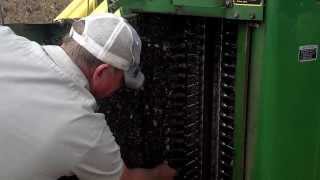 Brownsferry Cotton Farm cleaning spindles on cotton picker [upl. by Eliades126]