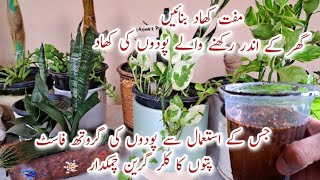 Best Fertilizer for Indoor Plants  Organic Free Fertilizer for Fast Growth of Plants [upl. by Ditzel513]