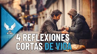 4 Hermosas Reflexiones Cortas de la Vida  Enseñanzas de Fe y Versiculos de la Biblia Soy De Dios [upl. by Abraham]