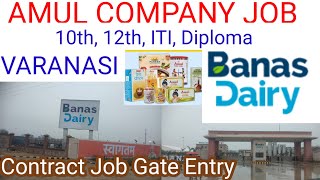 amul milk factory Vacancy Varanasi  Amul Company job  Banas Dairy job  Banas Dairy Varanasi [upl. by Eittam]