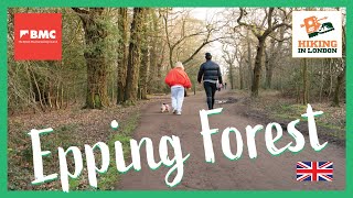 Epping Forest Circular  Drone 4K  🇬🇧 Hiking in uk for beginners [upl. by Hoebart588]