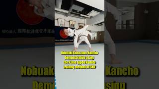 Cool Karate [upl. by Nazay]