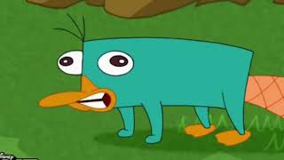 almost 8 minutes of perry the platypus sound straight [upl. by Mota]