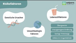 Risikofaktoren für die Entstehung von Harn und Nierensteinen Expertin erklärt [upl. by Han]